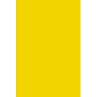 Бумага цветная А4, 10л, 1цв. тонированная ПЭТ Ярко-желтый С3036-05 Апплика 