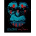 Дневник универсальный А5 40л. 7БЦ "Серьезная горилла" софт-тач,цветной дизайн Д40-9248 Проф-Пресс /1