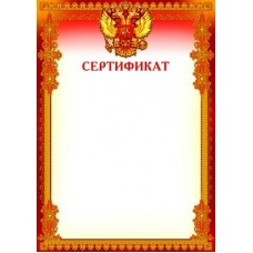 Сертификат А4 с Российской символикой Ш-8494 Сфера 