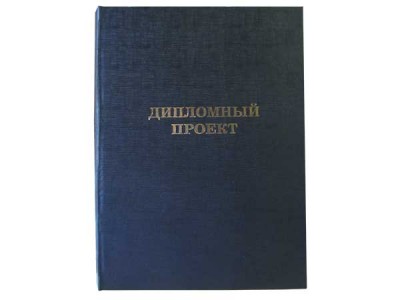 Папка для дипломных работ ДИПЛОМНЫЙ ПРОЕКТ син. 10ДП01с Канцбург 