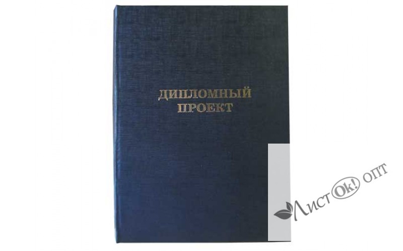 Папка для дипломных работ ДИПЛОМНЫЙ ПРОЕКТ син. 10ДП01с Канцбург 