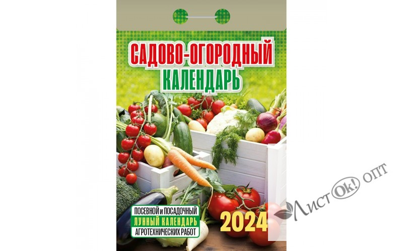 Календарь отрывной 2025 