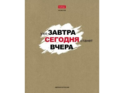 Тетрадь 48 л. линия скр. А5 обл. крафт, бл. оф. 65г/м2 