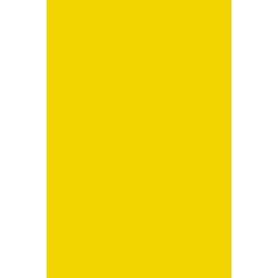 Бумага цветная А4, 10л, 1цв. тонированная ПЭТ Ярко-желтый С3036-05 Апплика /0 /0 /0 /84