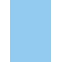 Бумага цветная А4, 10л, 1цв. тонированная ПЭТ Св. голубой С3036-01 Апплика 