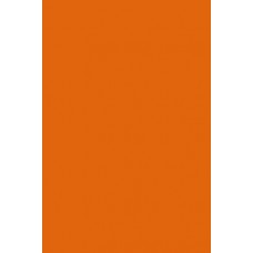 Бумага цветная А4, 10л, 1цв. тонированная ПЭТ Оранжевый С3036-09 Апплика 