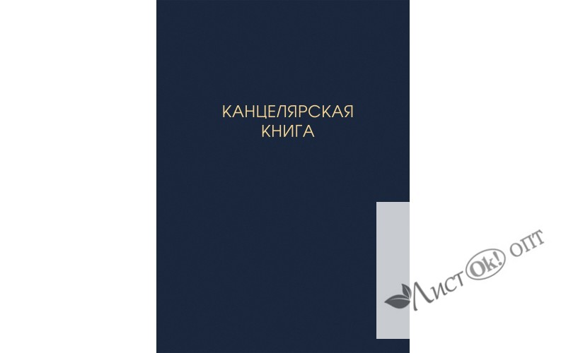 Книга для записей А4 (210х290), 100л. 7БЦ,