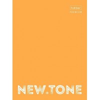 Папка на 4-х кольцах 25мм А4 NEWtone NEON, глянц. ламин, оранж ПК4_00935 Hatber 