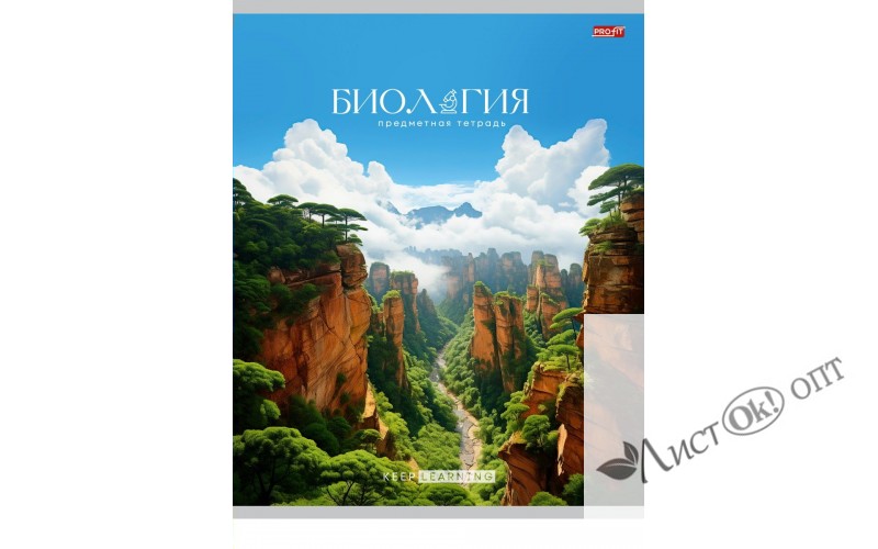 Сувенир "Подсвечник", из селенита, 19*6 см, в ассортименте УС651 Уральский сувенир /1 /0 /1 /0