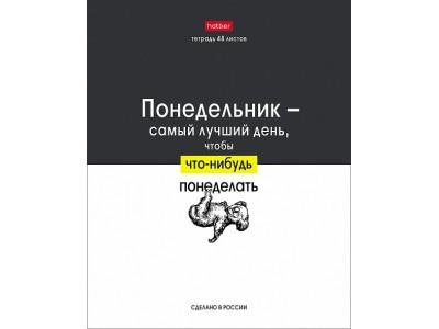 Тетрадь 48 л. клетка скр. А5 65г/кв.м 10 дизайнов в коробе  серия -Люблю школу- 48Т5В1 Hatber -2