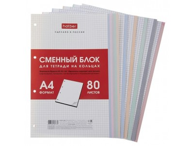 Сменный блок А4 80л клетка для тетрадей на кольцах Универсальная перфорация  Многоцветный срез в индив.упак. 80СБ4В1_28950 Hatber -1