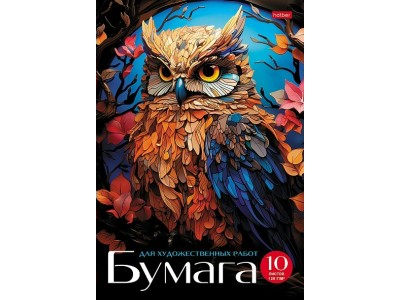 Папка для рисования и художественных работ А4 10л 120г/кв. тиснение -Мудрая сова- 10Бр4тВ_31102 Hatber 