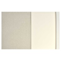 Картон белый А4, 8 л, папка с клапанами, мелованный картон с белым оборотом, ГОНКИ 66757 Феникс+ 