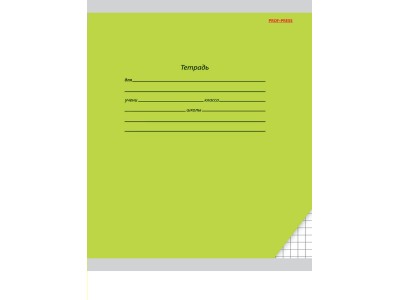 Тетрадь 18 л. клетка КЛАССИКА (зелёная)  цвет.мелов.обл.,1 дизаин в спайке 18-1833 Проф-Пресс 
