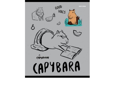 Тетрадь 48 л. клетка скр. КАПИБАРА цветная мелованная обложка Т48-2551 Проф-Пресс -1